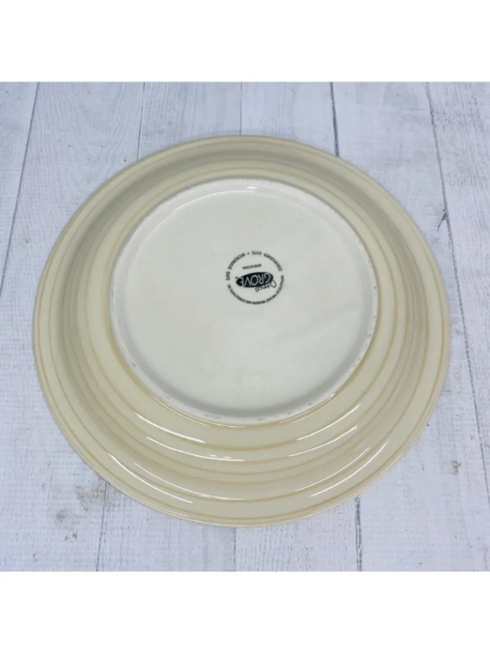 Citrus Grove BEIGE SANDSTONE SWIRL Hand Paint Stoneware Dinner Plates Set Of 4